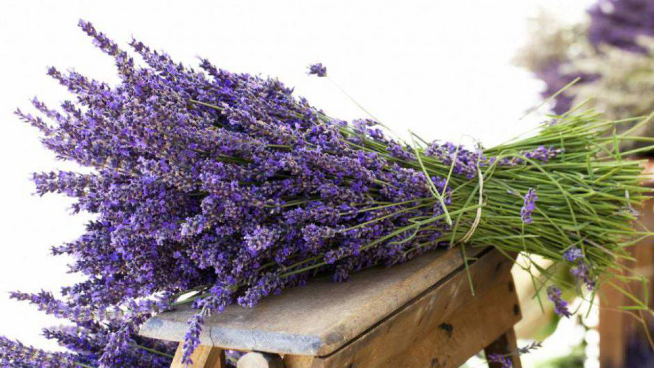 Sacchetti Di Lavanda Fai Da Te Per Profumare I Cassetti Video