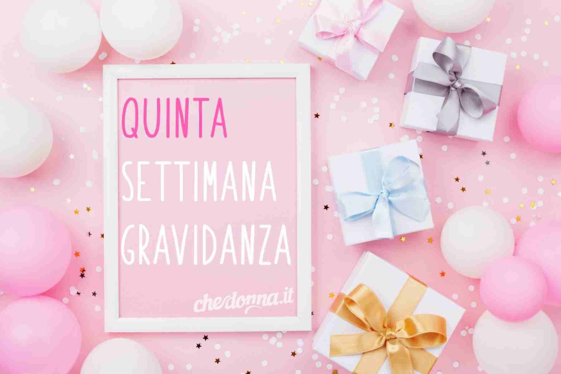 quinta settimana di gravidanza