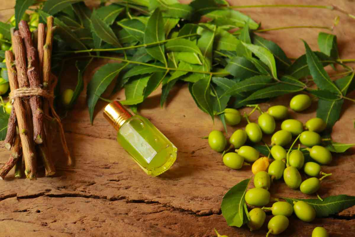 Olio Di Neem 5 Modi Per Utilizzarlo Che Forse Non Conosci