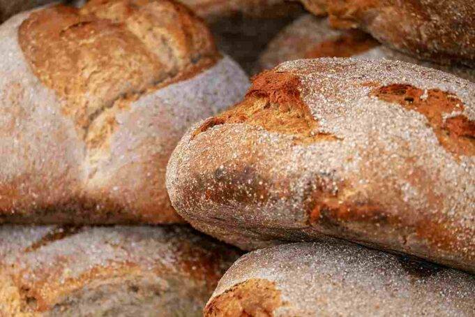 Pane con farina di castagne ricetta preparazione