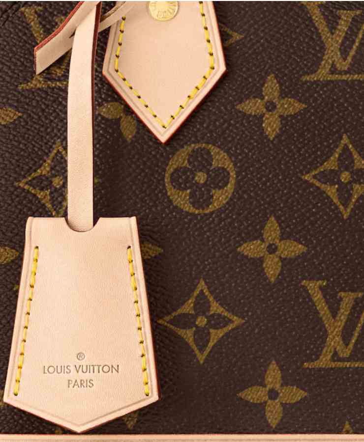 particolare borsa Louis Vuitton