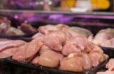 Carne di pollo: tutto quello che bisogna sapere