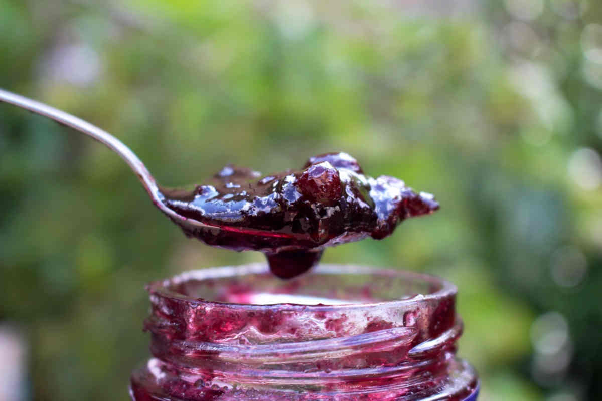 Marmellata, spuntino gustoso