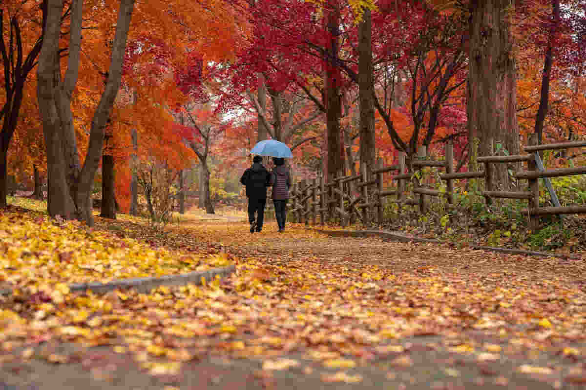 Passeggiare in autunno