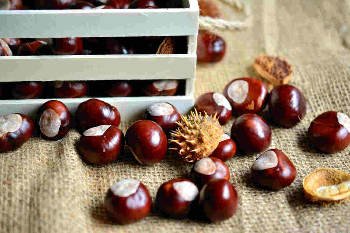 Benefici delle castagne