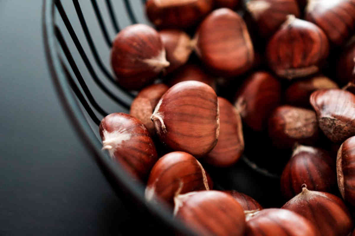 Castagne, frutto autunnale