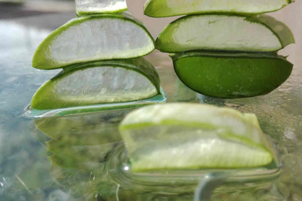 Aloe vera per labbra screpolate