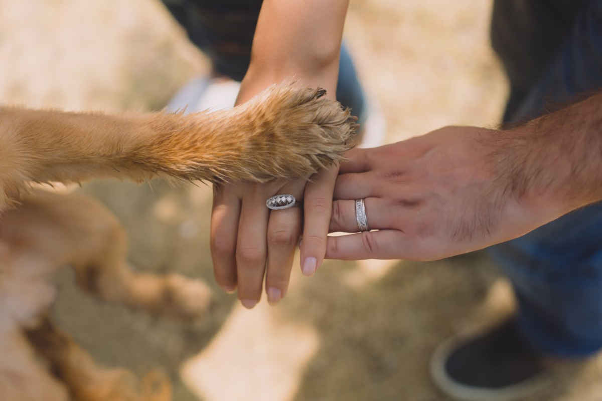 Animali parte della famiglia