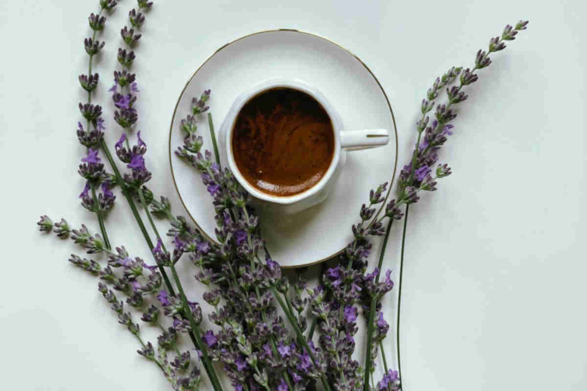 Lavanda, tra le tisane rilassanti