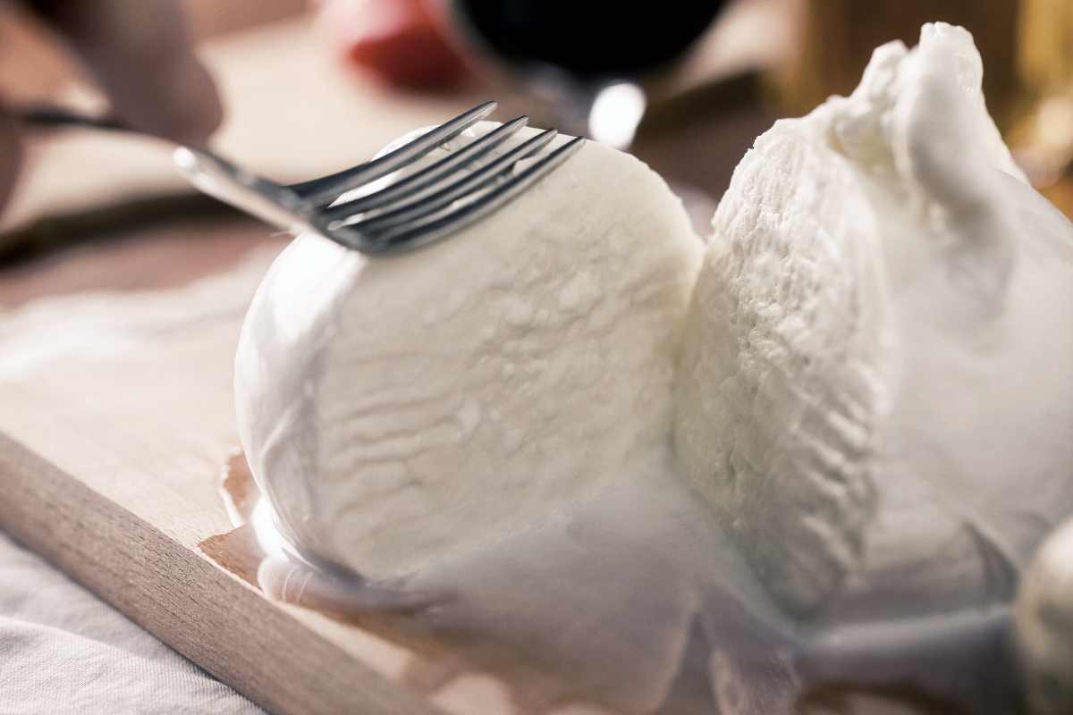 mozzarella migliore supermercato