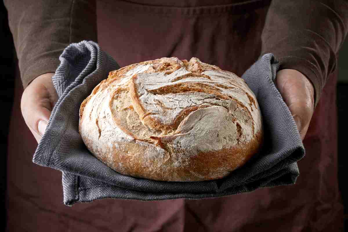 pane perché devi congelarlo